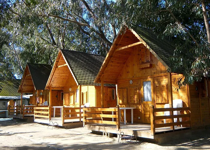 Holacamp Sant Salvador