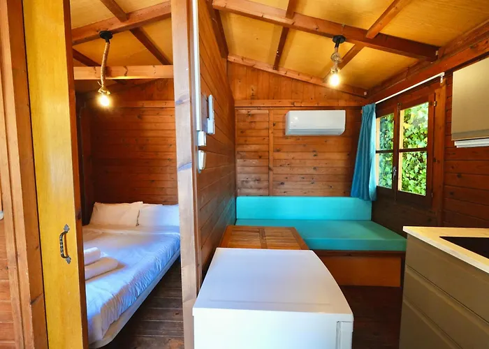 Holacamp Sant Salvador